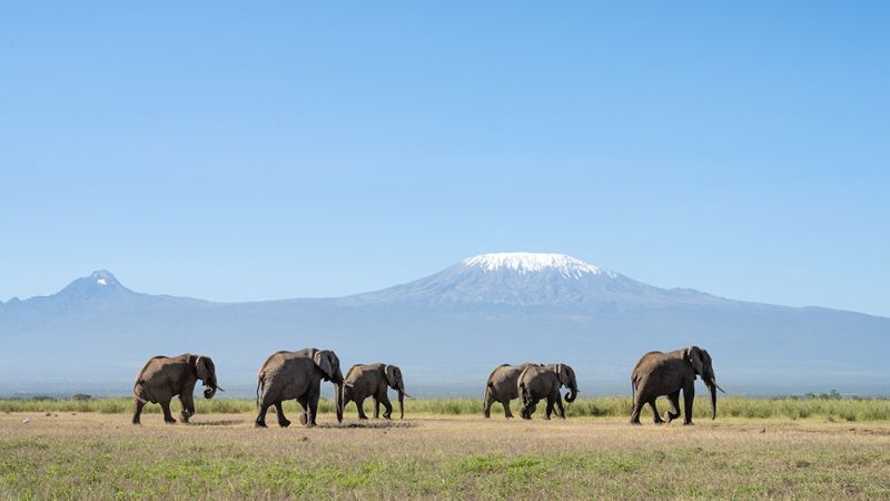 naivasha-14