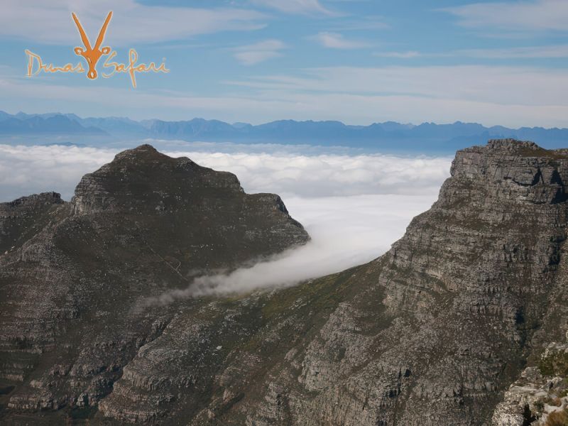 kruger-royal-01